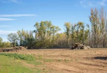understanding-the-process,-purpose,-and-impact-of-land-clearing
