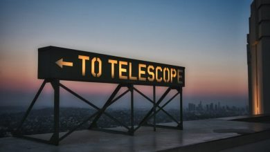 how-to-choose-a-software-that-helps-telecoms-csps-embrace-the-future-of-connectivity
